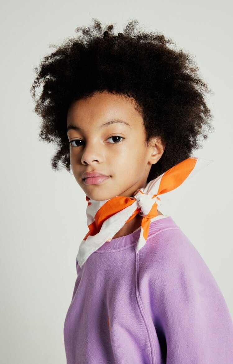 American Vintage IZUBIRD Sweater - Parme Vintage  - Copy