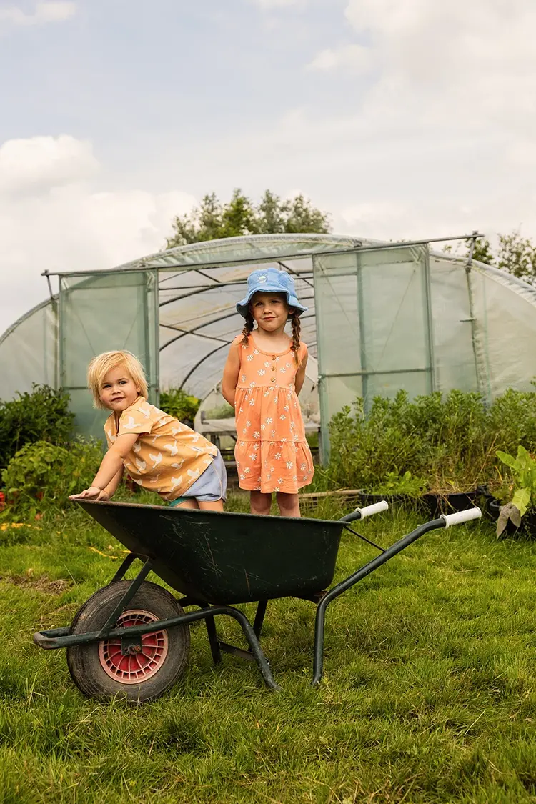 Sproet & Sprout T-shirt Goose Print - Nectarine