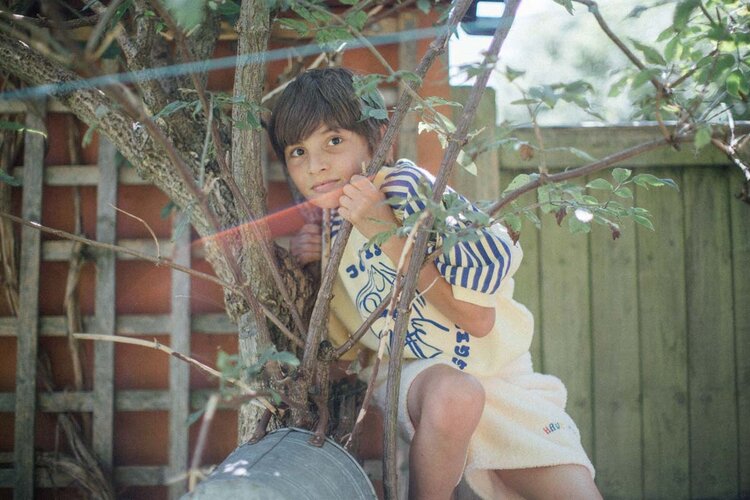 Bobo Choses Joy Is A Wrapping Gift sweatshirt