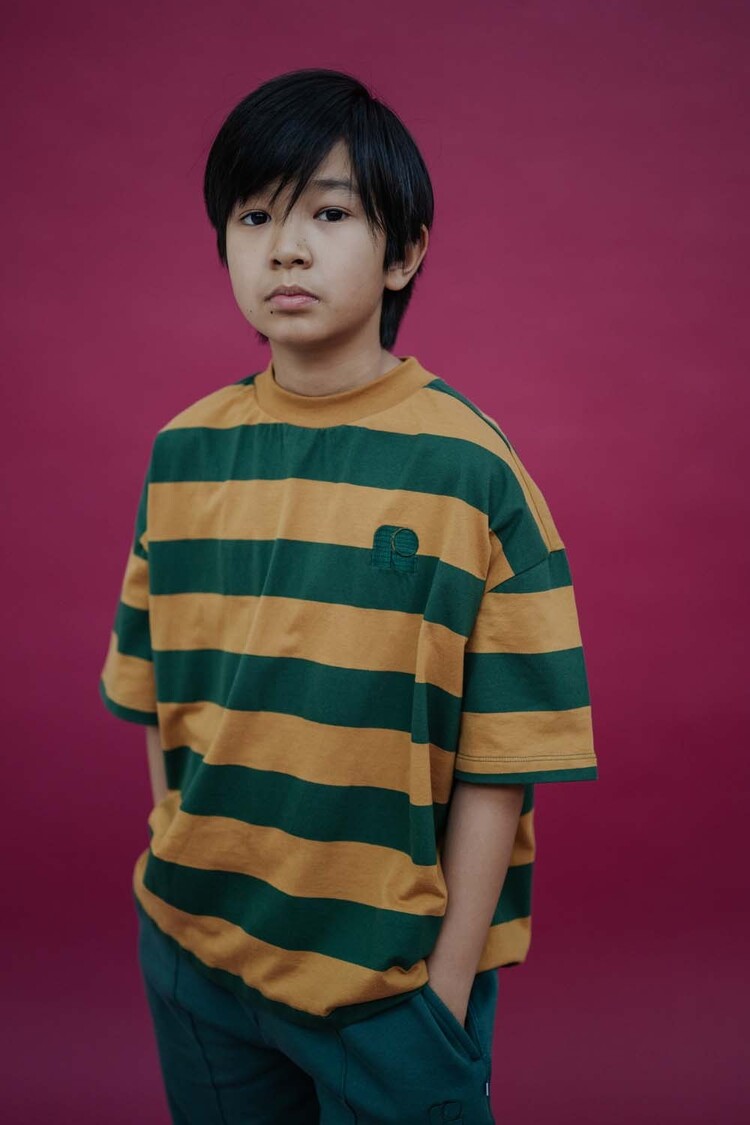 REPOSE AMS Boxy Tee Shirt - Gold Country Green Block Stripe