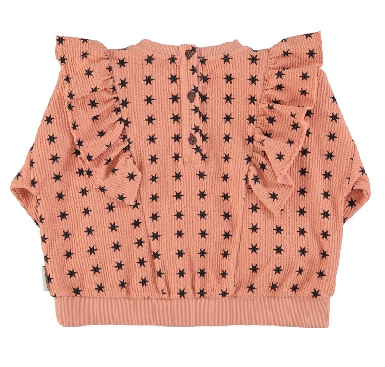 Piupiuchick Sweatshirt | Pink w/ black stars