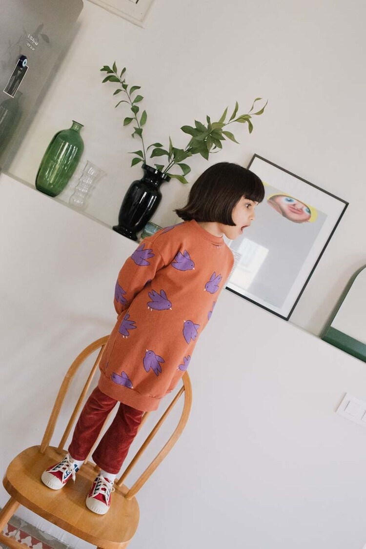 Lotiekids  Long Sweatdress Flowing Birds - Clay