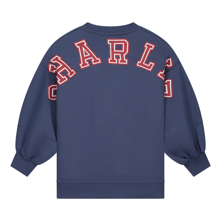 Charlie Petite Nada Sweater Dress - Denim Blue