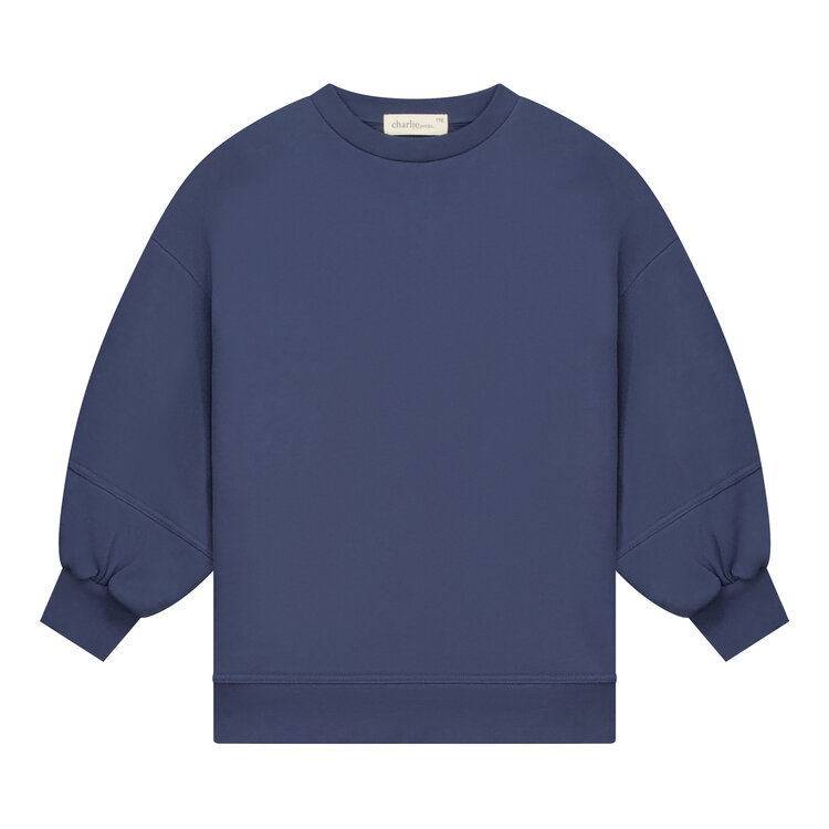 Charlie Petite Nada Sweater Dress - Denim Blue