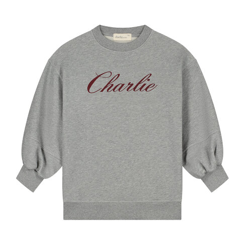 Charlie Petite Nada Sweater Dress - Grey Melange