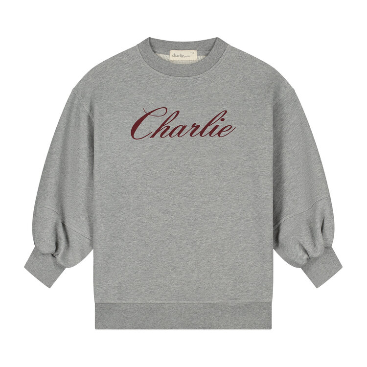 Charlie Petite Nada Sweater Dress - Grey Melange