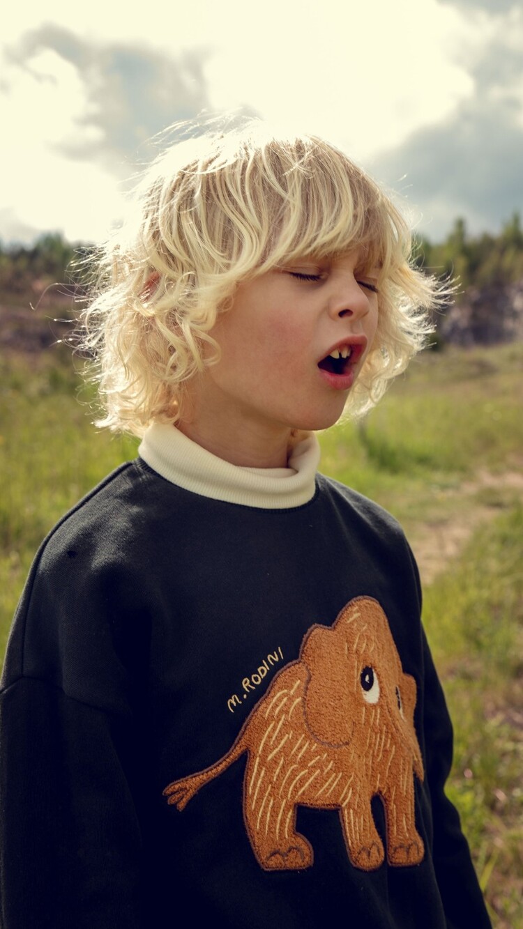 Mini Rodini Mammoth Chenille Sweatshirt - 99