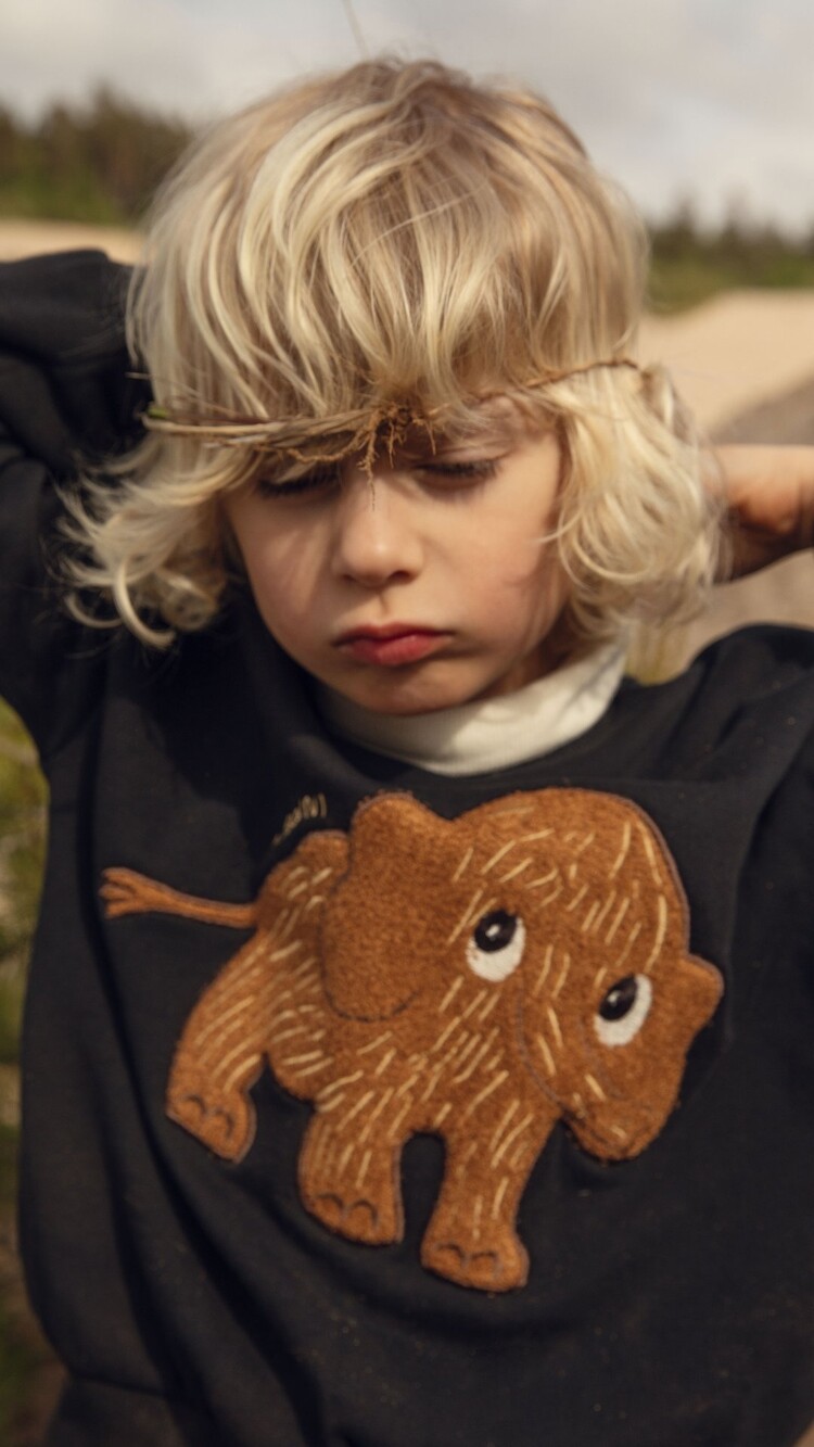 Mini Rodini Mammoth Chenille Sweatshirt - 99