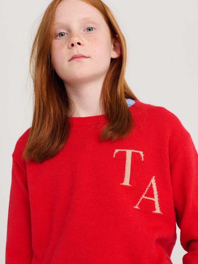 True Artist Jumper no03 Autumn Fig