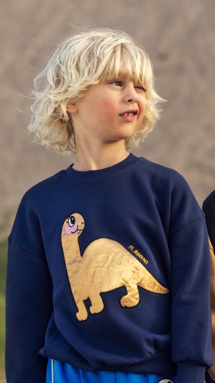Mini Rodini Dino application blue sweatshirt