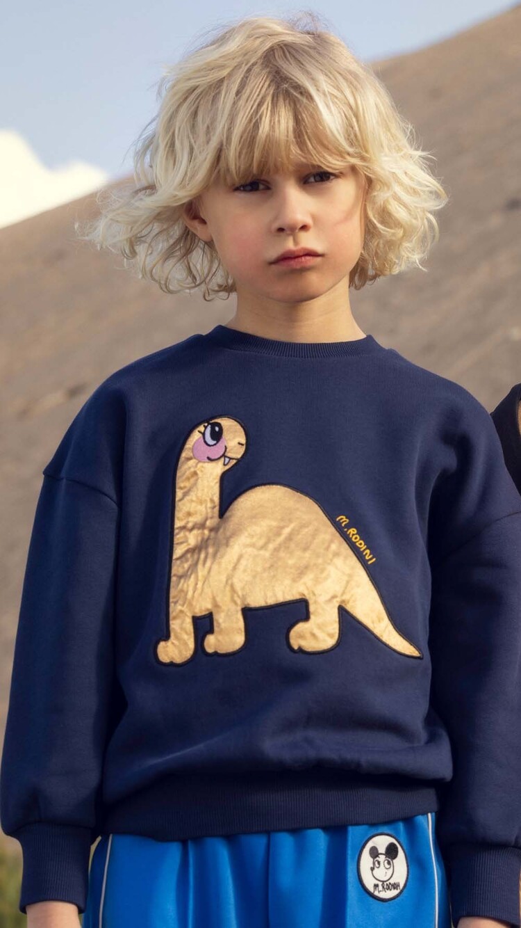 Mini Rodini Dino application blue sweatshirt
