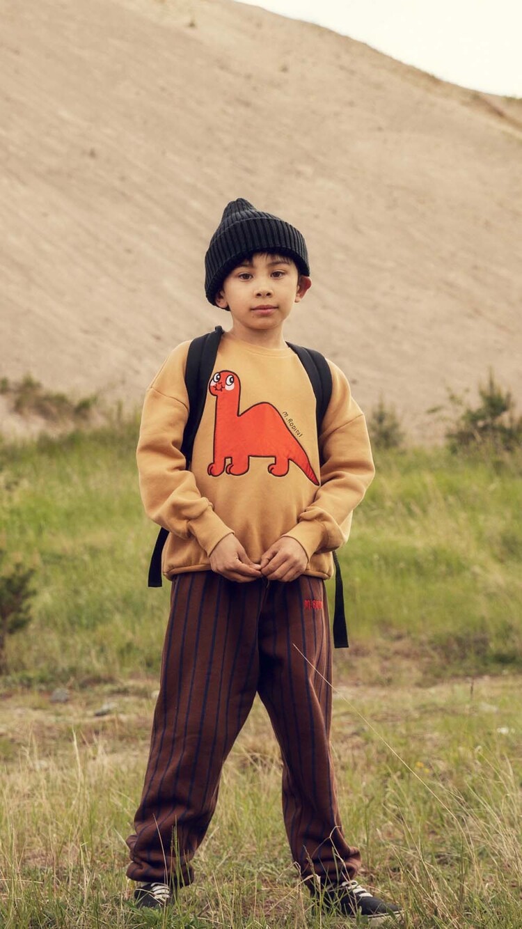 Mini Rodini Dino application red sweatshirt