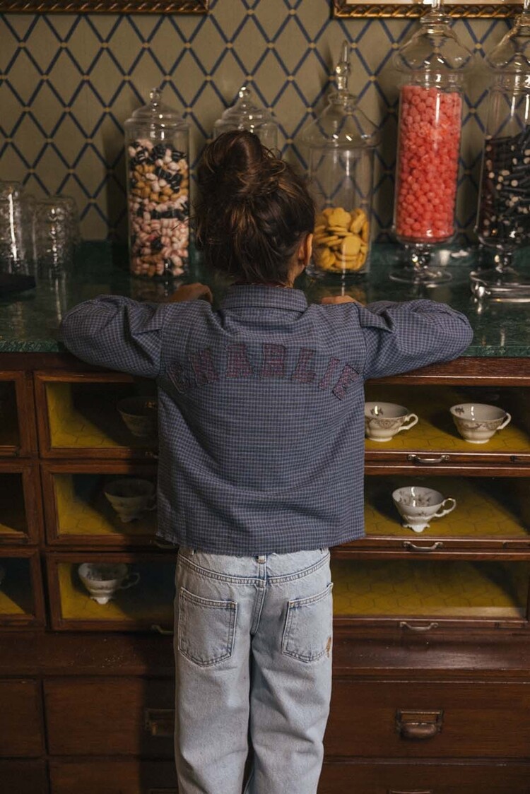 Charlie Petite Niki Blouse - Blue/Grey Checked