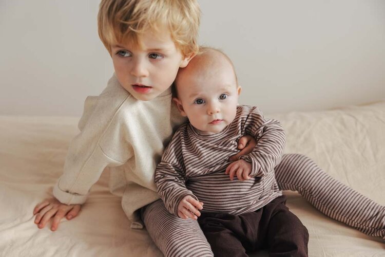 Phil & Phae Raglan tee l/s stripes - chocolate stripes