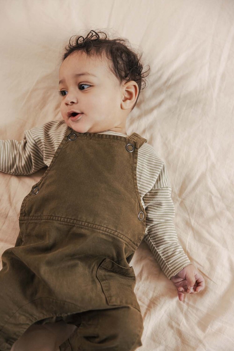 Phil & Phae Raglan tee l/s stripes - soft moss stripes