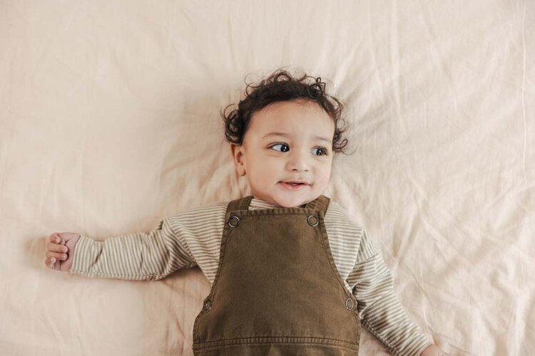 Phil & Phae Raglan tee l/s stripes - soft moss stripes