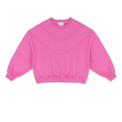 Jenest Tammie Sweater - Fuchsia Pink