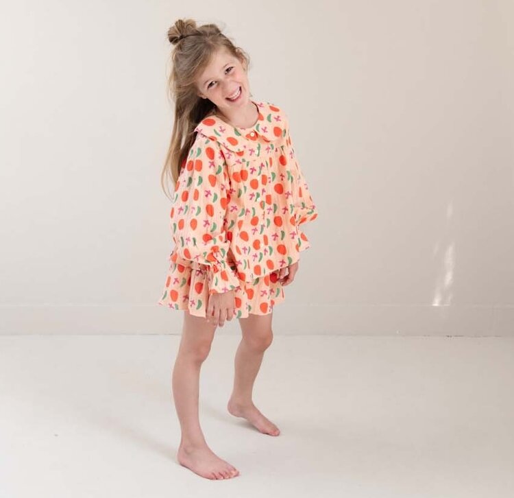 Jenest Elle Skirt - Bird Aop Peach Orange