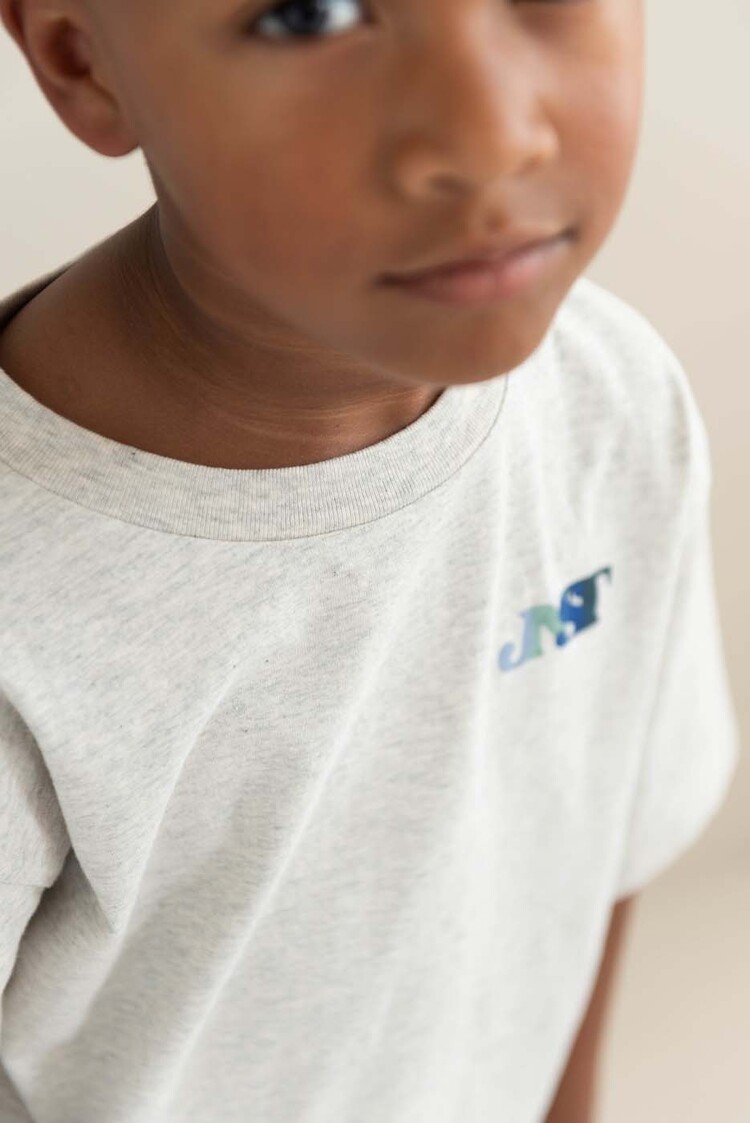 Jenest Mase T-shirt - Grey Melange