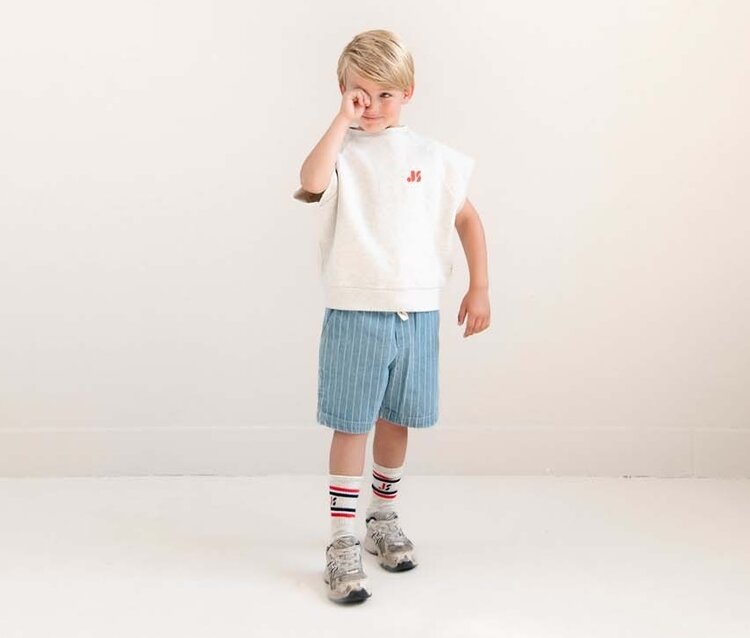 Jenest Knox Stripe Shorts - Indigo Stripe