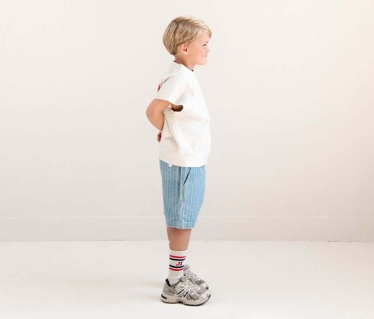 Jenest Knox Stripe Shorts - Indigo Stripe