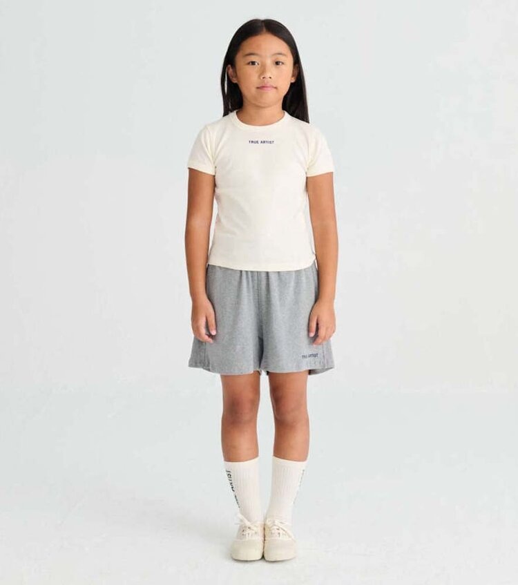 True Artist Shorts no04 Glacier Grey