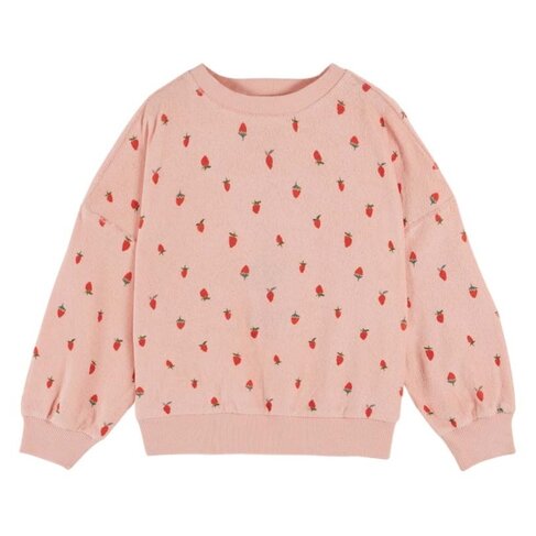 Emile et Ida Sweat Shirt Eponge Imprime AO - Guariguette