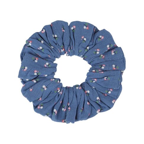 Emile et Ida Chouchou - Lizeron