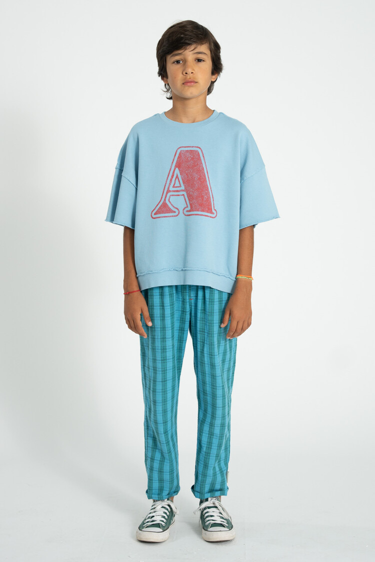 Piupiuchick  unisex trousers | blue & green checkered