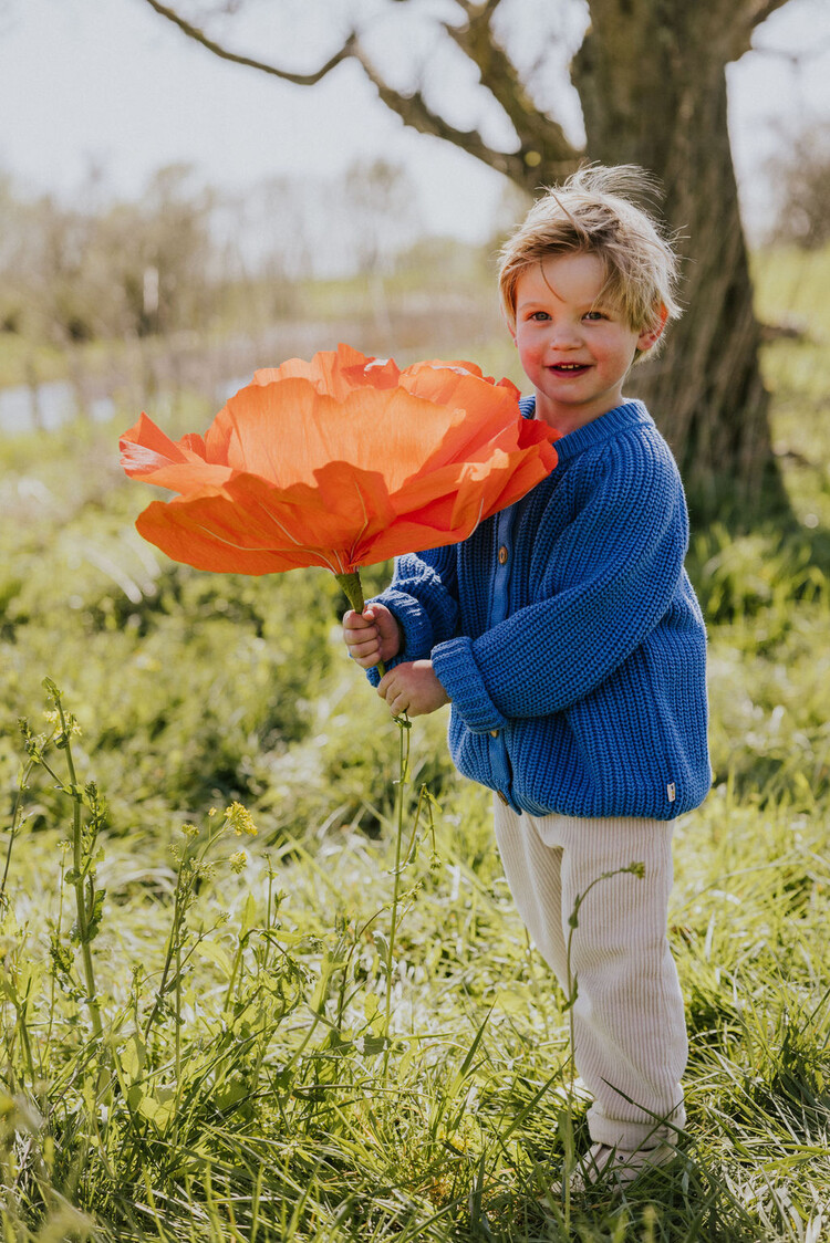 Yuki kidswear Raglan Cardigan - Azure