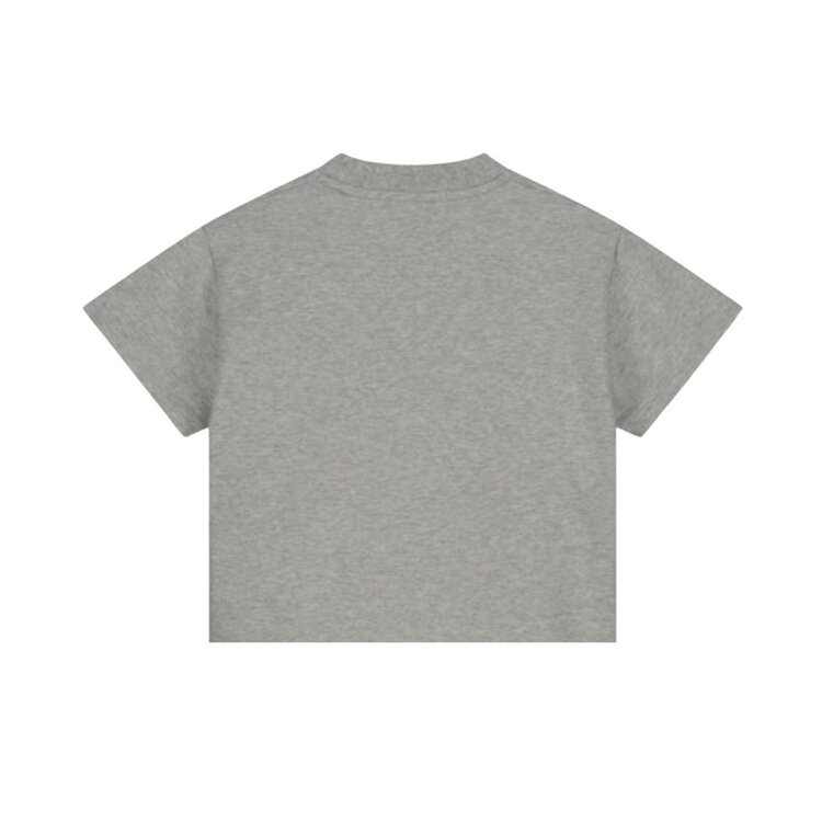 Charlie Petite Presley T-Shirt - Gray Melange