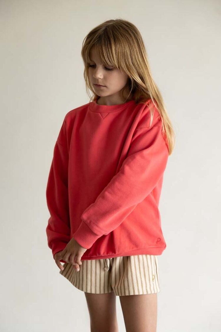 Phil & Phae Chunky sweater - coral