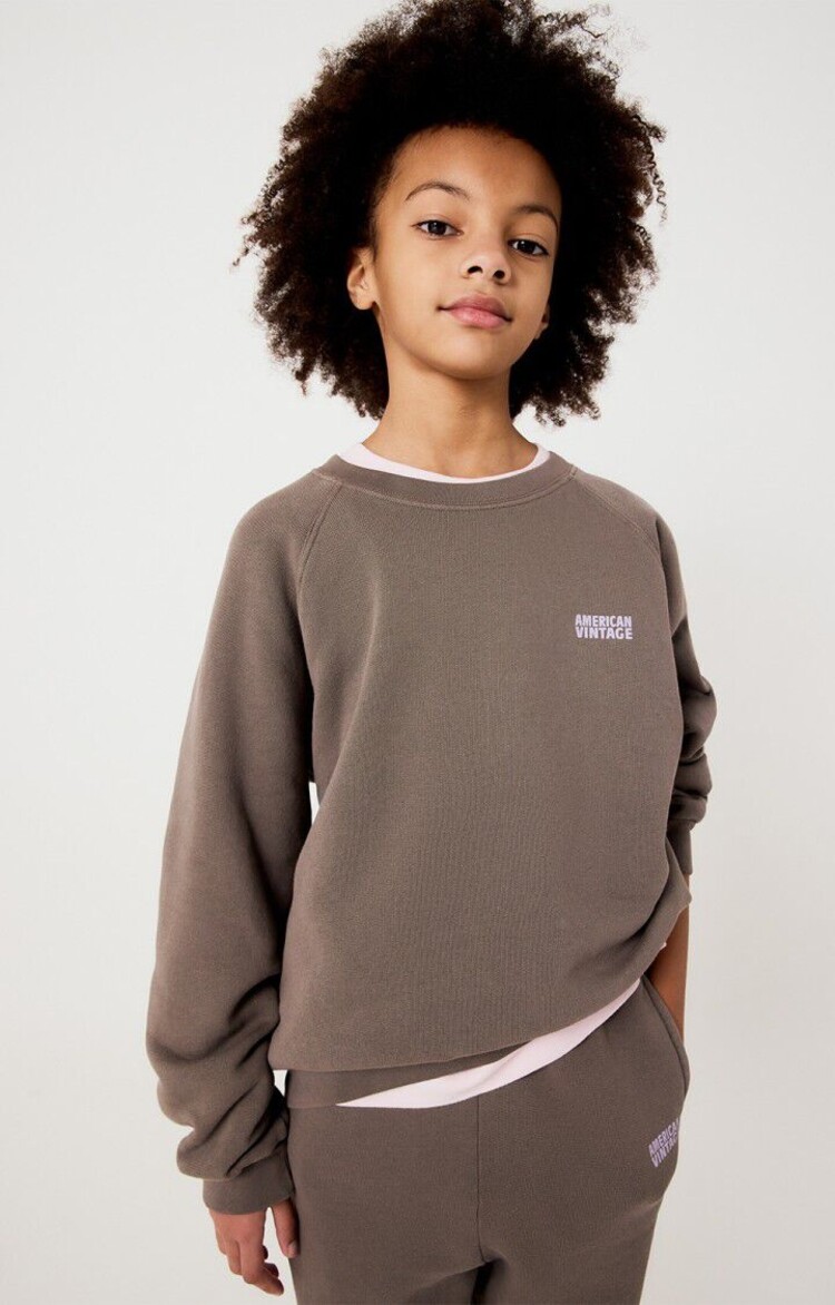 American Vintage IZUBIRD Sweater - Cendre vintage