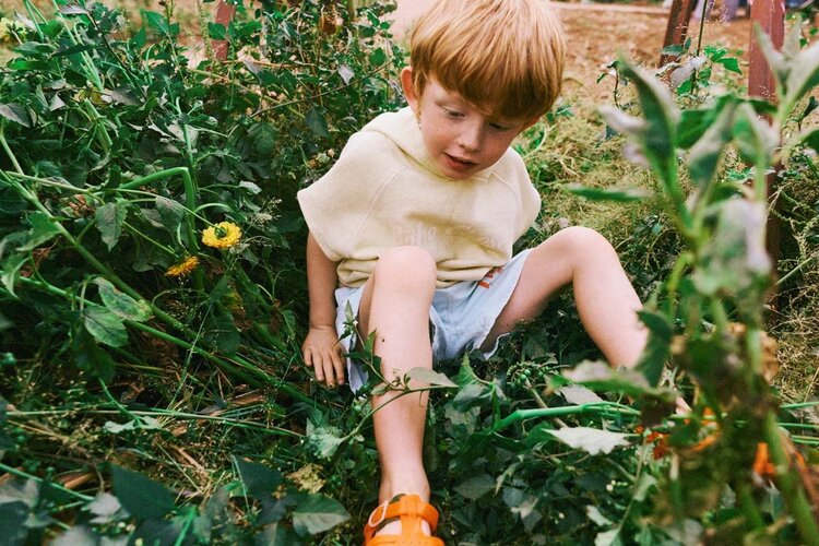 Bobo Choses Pickles The Dog woven Bermuda shorts