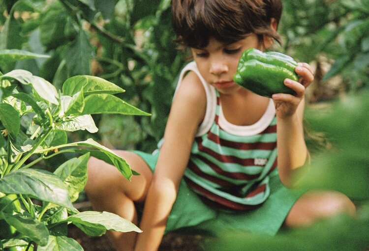 Bobo Choses Bobo Choses Striped tank top