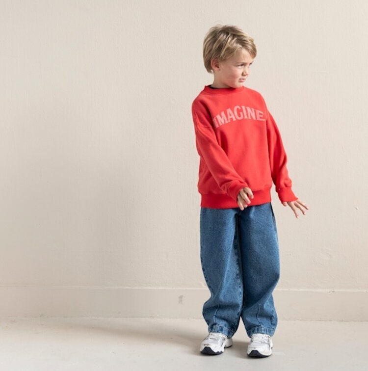Jenest Bird Sweater - Spicy Red