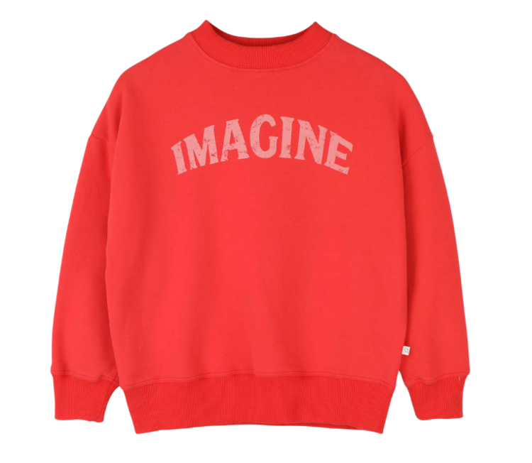 Jenest Bird Sweater - Spicy Red