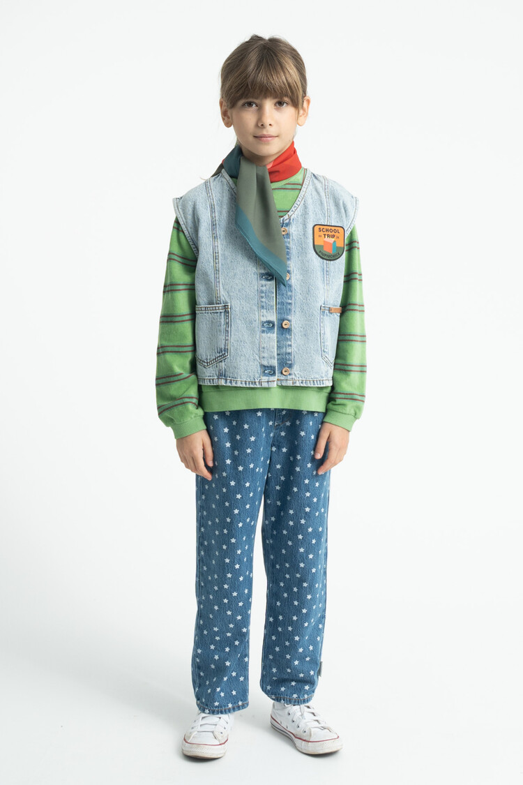 Piupiuchick terry cotton sweatshirt | green w/ double stripes