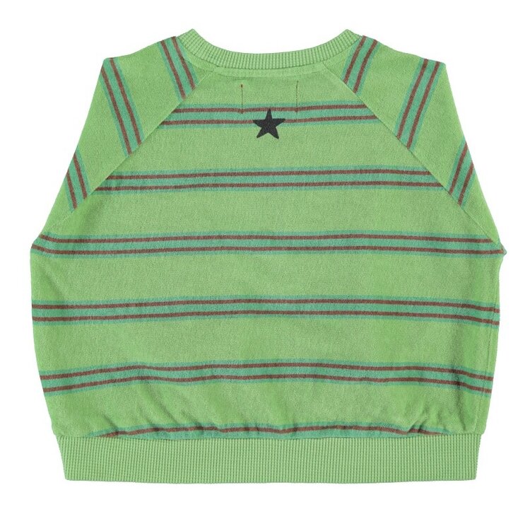 Piupiuchick terry cotton sweatshirt | green w/ double stripes
