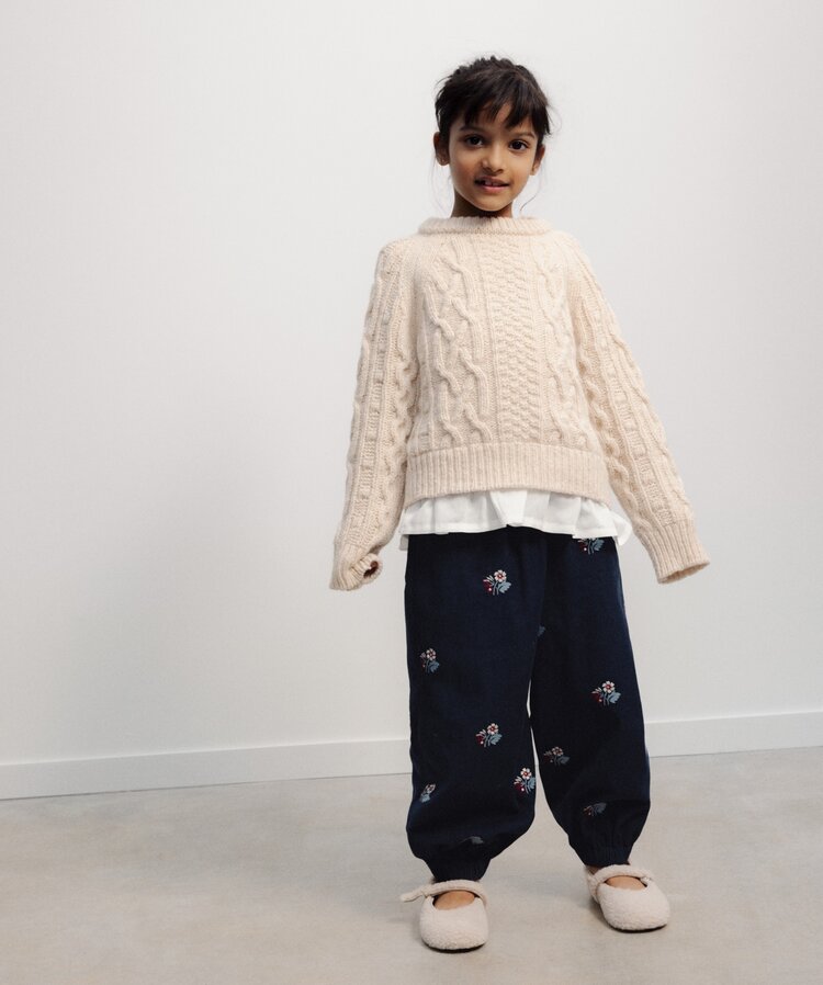 The New Society Echo Jumper