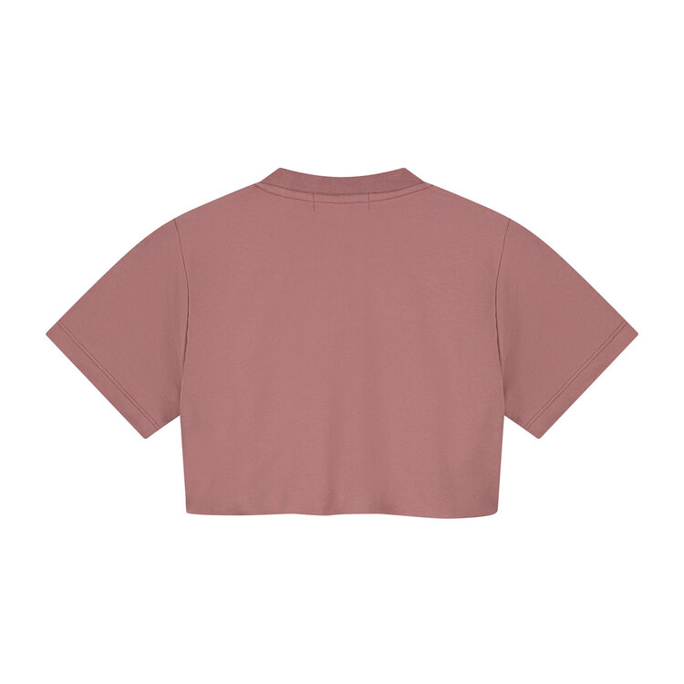 Charlie Petite Sanne T-Shirt - Pink