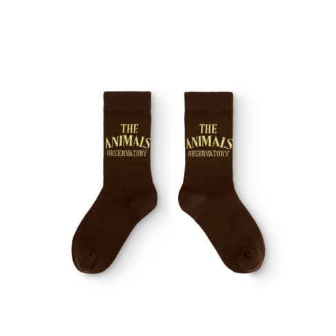 The Animal Observatory Snail Kid Socks - Brown