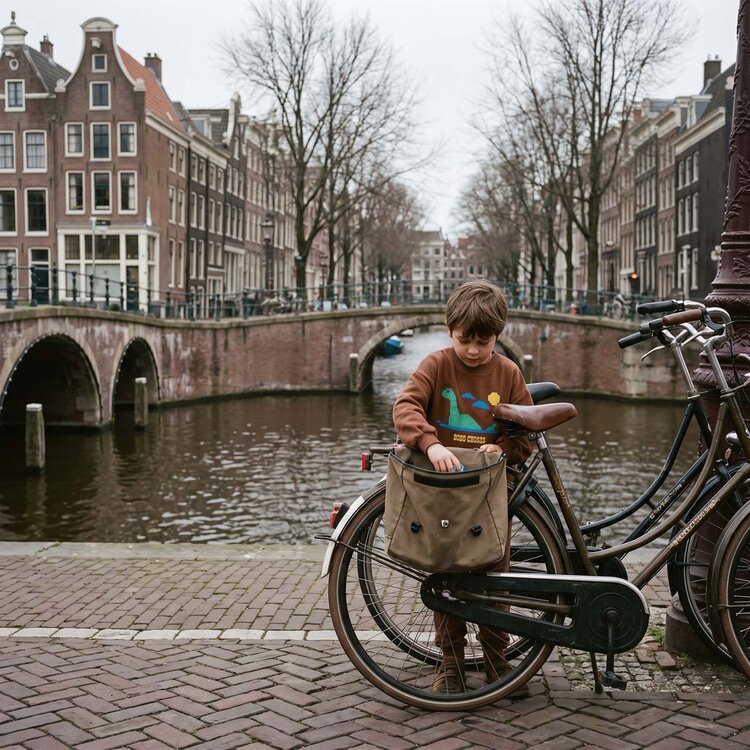 Bobo Choses Lake Monster sweatshirt