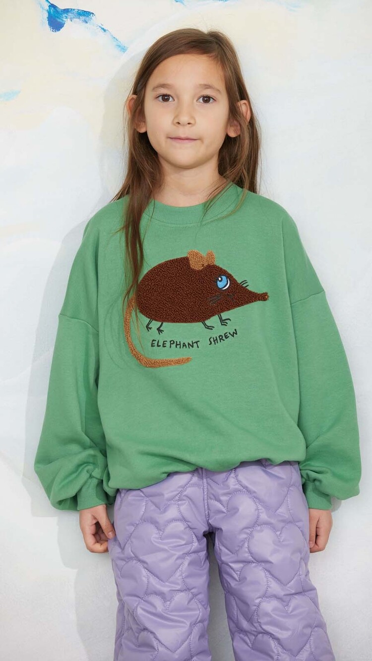 Mini Rodini Elephant shrew chenille sweatshirt - green