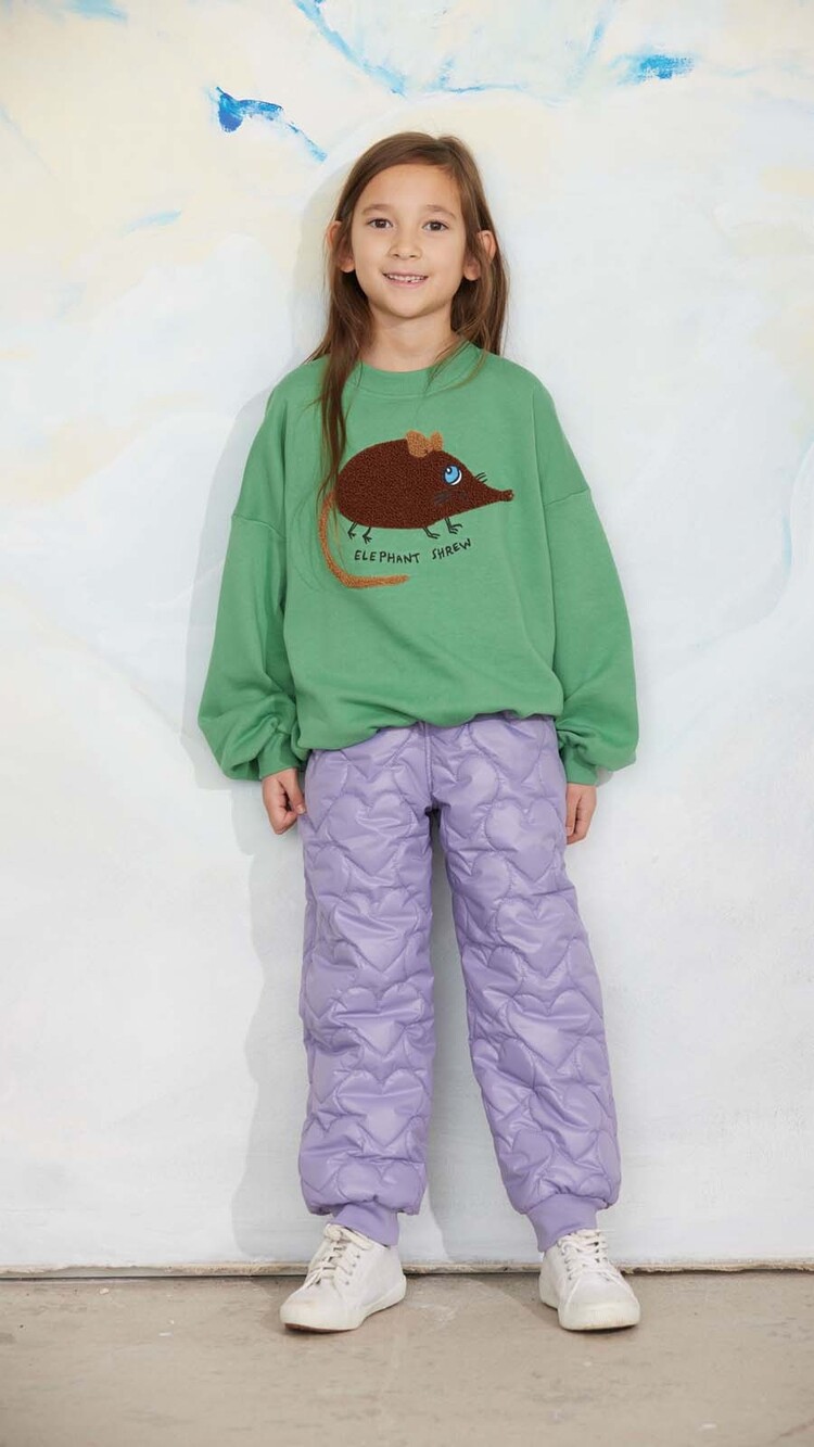 Mini Rodini Elephant shrew chenille sweatshirt - green