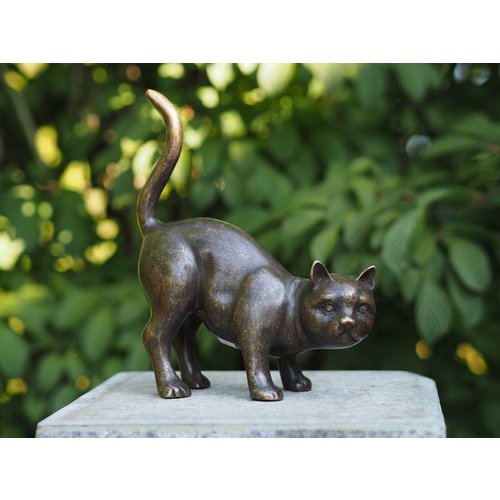 Eliassen Bronzen kat Eliassen Bronzen kat