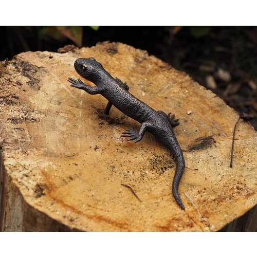 Eliassen Bronzen figuur Salamander Eliassen Bronzen figuur Salamander
