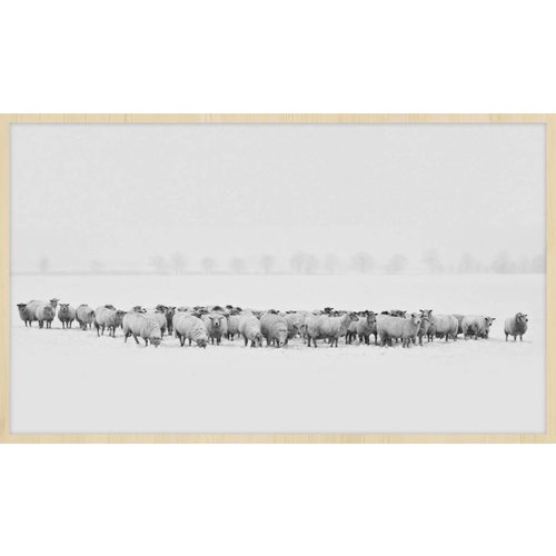 Wandkraft Schilderij forex Kudde 118x70cm Wandkraft Schilderij forex Kudde 118x70cm