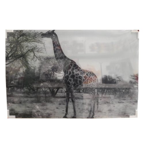 MondiArt Glasschilderij Giraffe 80x120cm MondiArt Glasschilderij Giraffe 80x120cm