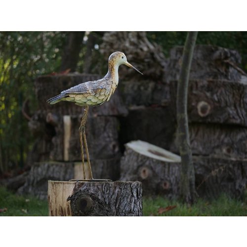 Vogel ijzer Strandloper kop omhoog Vogel ijzer Strandloper kop omhoog